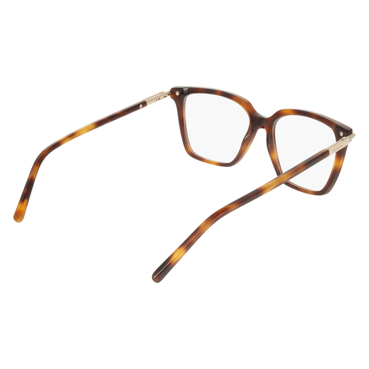 Gafas Graduadas Ferragamo SF3038 240 54 16