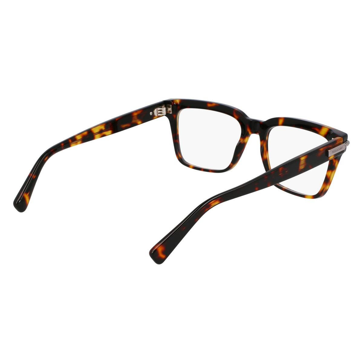 Gafas Graduadas Ferragamo SF3014 242 53 / 55 18