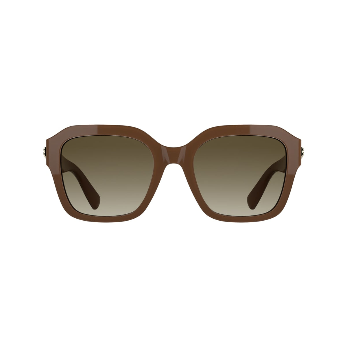Sunglasses Longchamp LO816S 200 53 20